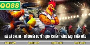 Đá Gà Online - Bí Quyết Quyết Định Chiến Thắng Mọi Trận Đấu