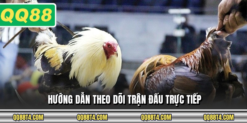 Hướng dẫn theo dõi trận đấu trực tiếp